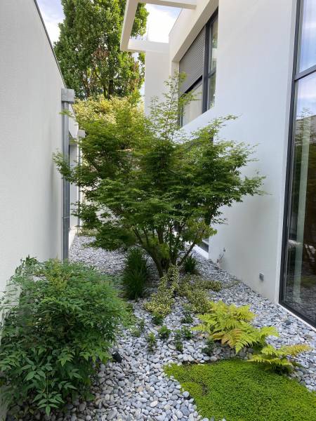 Patio Hybre architecte