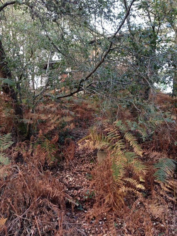 maison d'architecte bassin d'arcachon